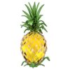 Idyllia-Ananas Idyllia-Ananas