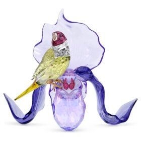 Idyllia – Gouldfink und Orchidee