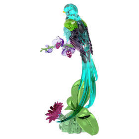 Idyllia Quetzal und Orchidee