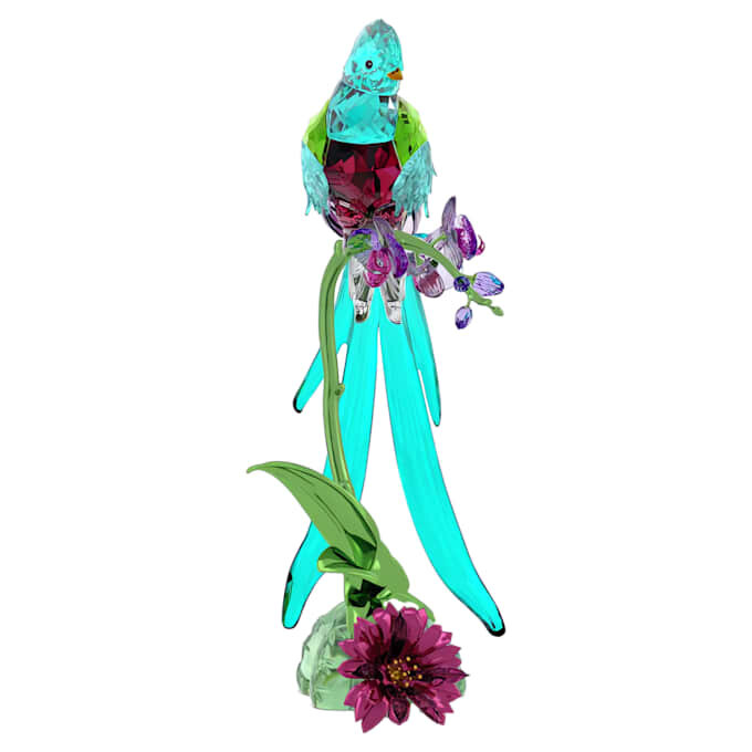 Idyllia Quetzal und Orchidee Idyllia Quetzal und Orchidee