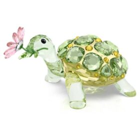 Idyllia – Schildkröte und Gänseblümchen