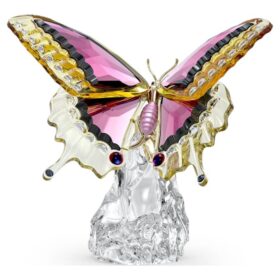 Idyllia-Schmetterling