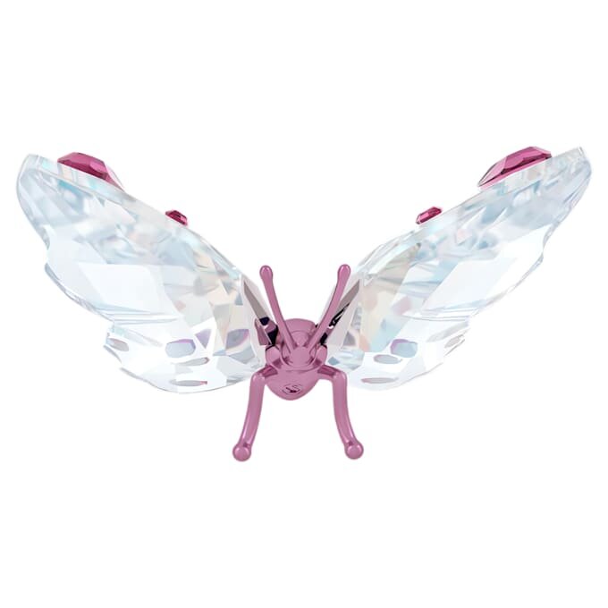 Idyllia Schmetterling, klein Idyllia Schmetterling, klein