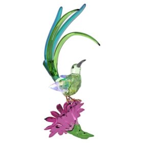 Idyllia: Zuckervogel und Kaktusblüte