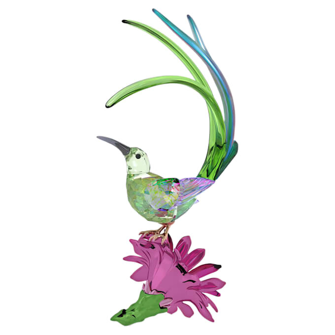 Idyllia: Zuckervogel und Kaktusblüte Idyllia: Zuckervogel und Kaktusblüte