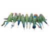 Kristall-Myriad-Gouldfinken Kristall-Myriad-Gouldfinken