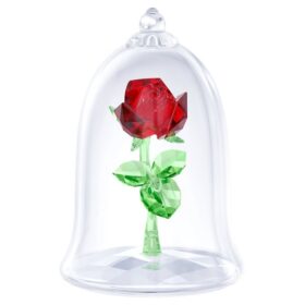 Verzauberte Rose